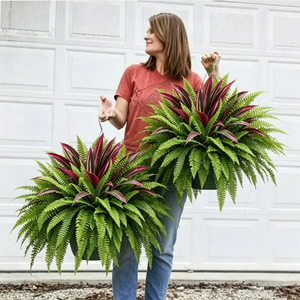 I was surprised how great these ferns are...