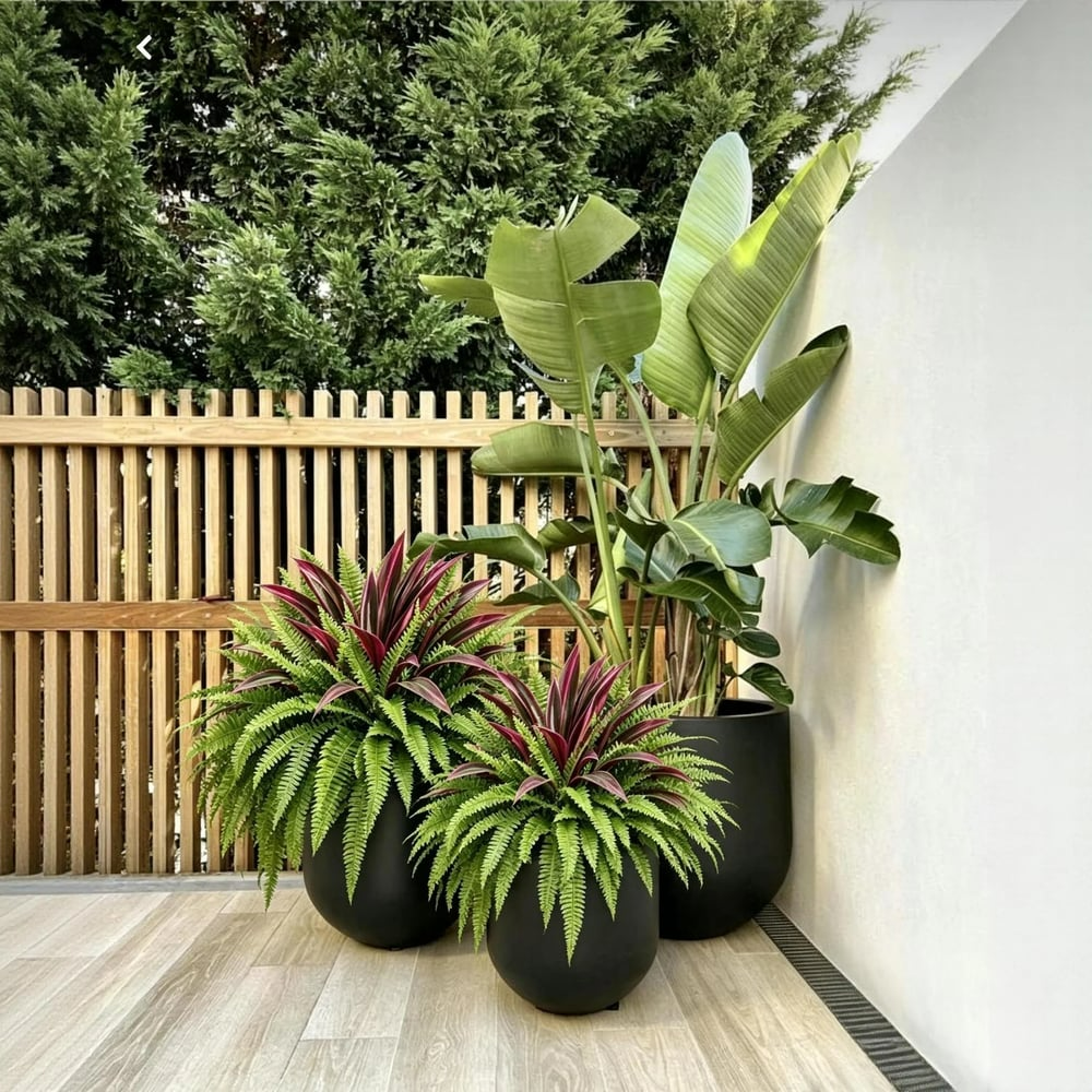 UV-Resistant Artificial Fern & Red Dracaena Decorative Plants – Full, Lush & Fade-Resistant!