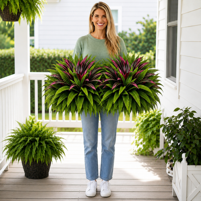 UV-Resistant Artificial Fern & Red Dracaena Decorative Plants – Full, Lush & Fade-Resistant!